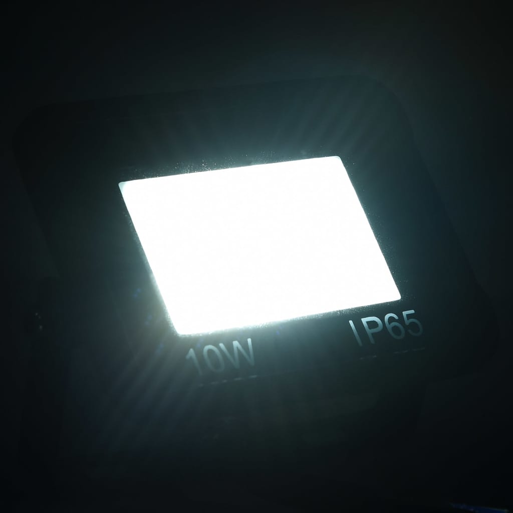 LED reflektor 10 W studené bílé světlo